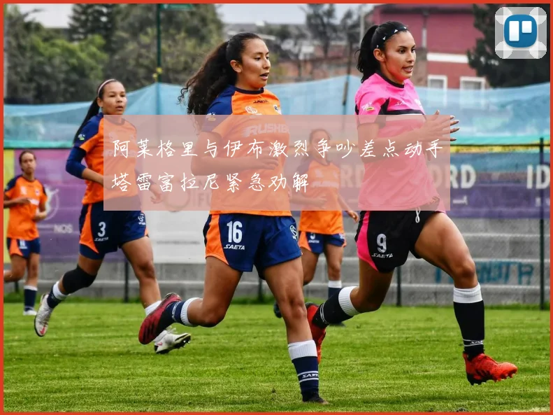 阿莱格里与伊布激烈争吵差点动手塔雷富拉尼紧急劝解